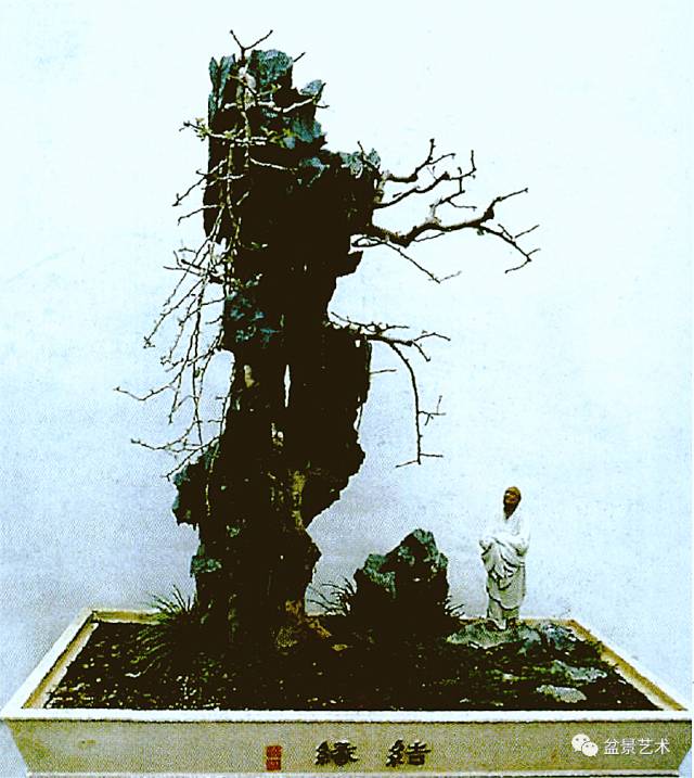 树石盆景风格及树石盆景人