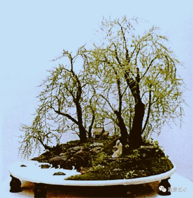 树石盆景风格及树石盆景人