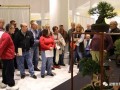 美国冬季盆景展获奖作品选