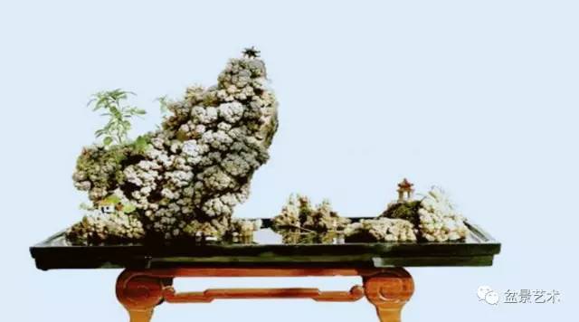 中国盆景艺术美的构成与特色
