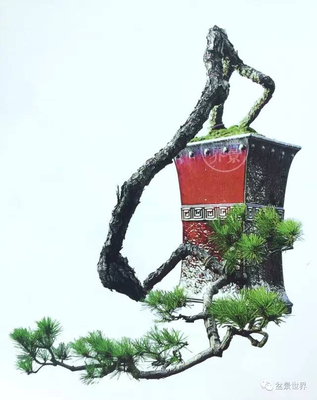 大师也曾失过手,说说那些年我们养死的好下山桩