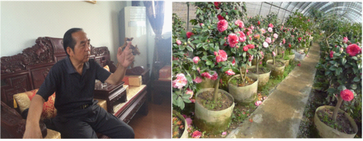 张老谈盆景-古桩茶花盆景 传统文化中的奇葩