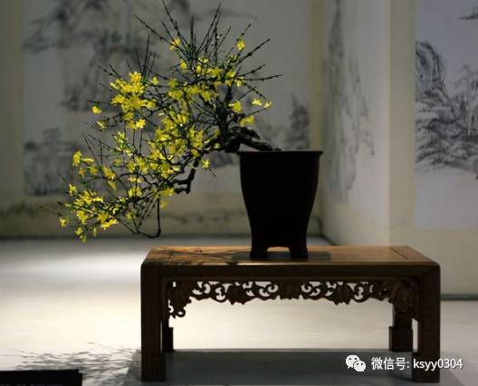 迎春花盆景修剪要领~