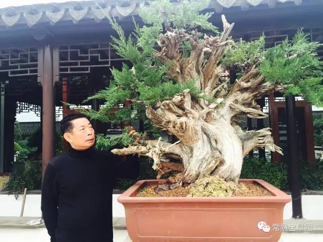 早春 ｜ 与盆景爱好人士分享~