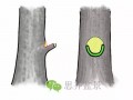 图解 盆景截口怎么处理的技术