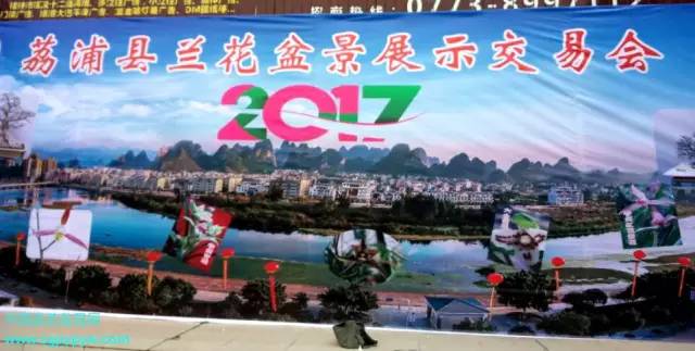2017年荔浦县兰花盆景展示交易会