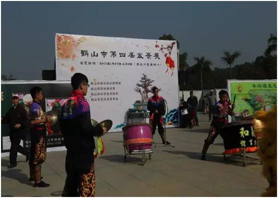 鹤山市举办第四届迎春盆景科普展 览吸引过万市民群众