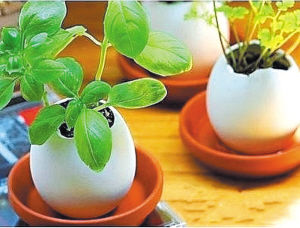 据聚巧网4月21日报道