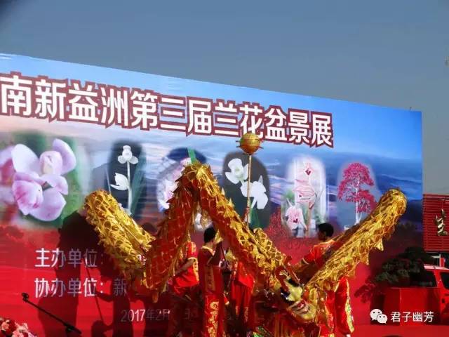 云南新益洲第三届兰花盆景展——人潮篇