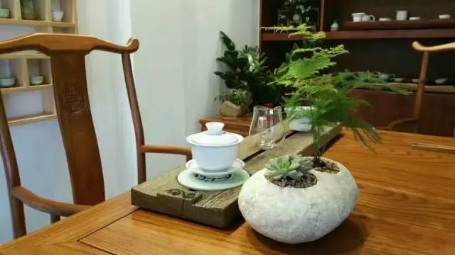 佛坪农民做的原生态盆景,亮瞎啦!