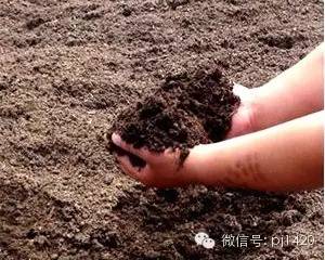 盆景27种介质，敢快来认识一下！