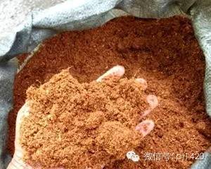 27种盆景土壤介质 敢快来认识一下