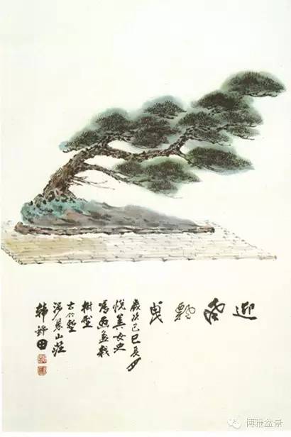 盆景艺术是我国传统艺术的一朵奇葩