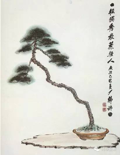 盆景艺术是我国传统艺术的一朵奇葩