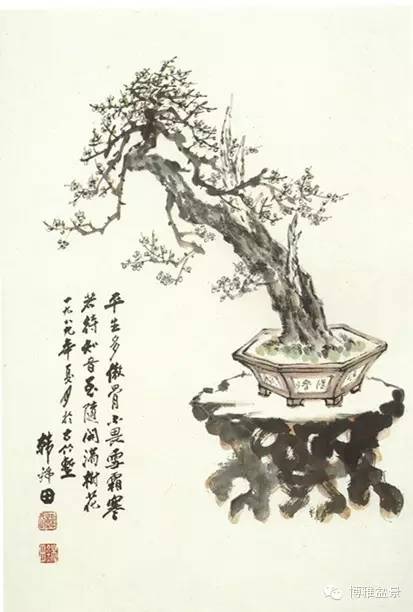盆景艺术是我国传统艺术的一朵奇葩