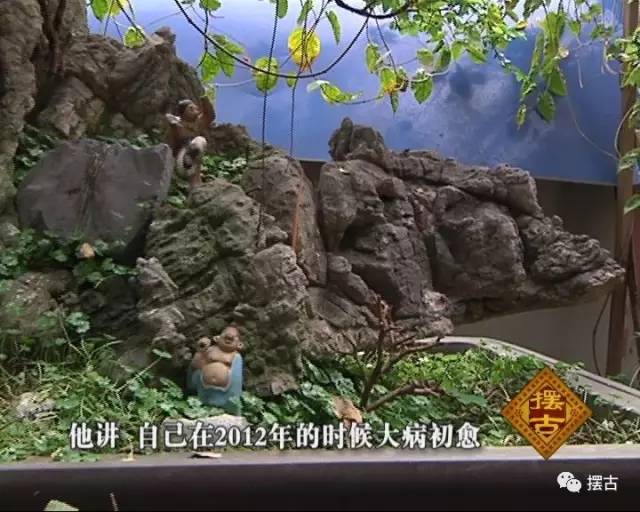 街头巷尾1 我来摆古-我家的附石盆景