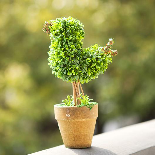 宜昌南湖花卉市场小盆景卖的火 市民购买热情高