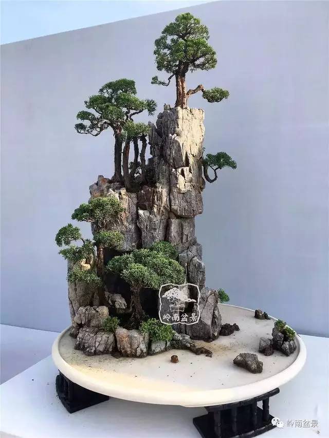 大自然才是最好的盆景老师