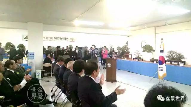 揭开韩国盆景第一大展的神秘面纱