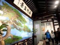 虎丘开启2017年苏派盆景志愿讲解服务活动