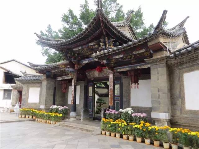 建水朱家花园这些盆景你看过吗?