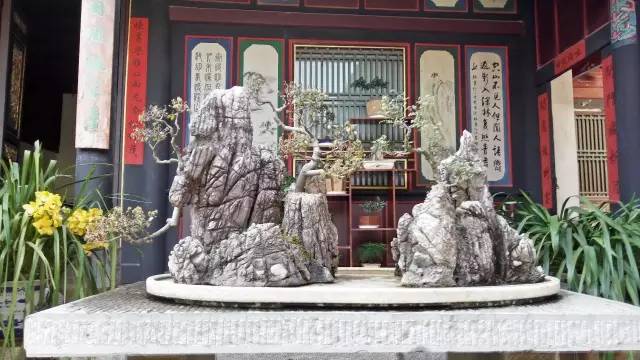 建水朱家花园这些盆景你看过吗?