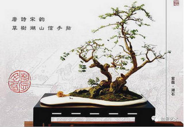 盆景艺术盆景的题词