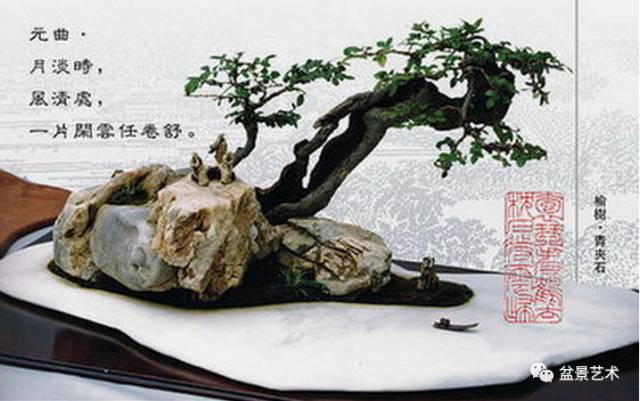 盆景艺术盆景的题词