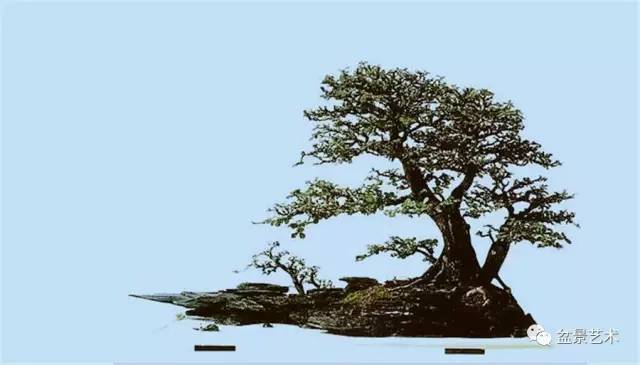 湖南盆景的发展还要面对一些困难