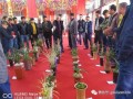 云南新益洲第三届盆景博览交易会