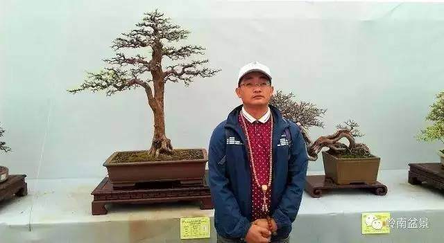 汕头市花卉盆景艺术协会