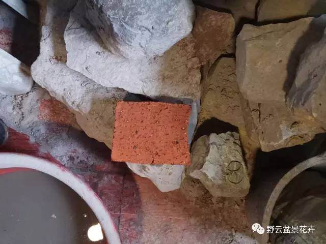 今天的主题是盆,能用作盆景的盆非常多