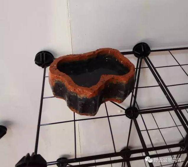 怎么制作盆景盆子的方法