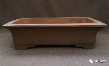 老桩盆景用什么盆子的方法 图片