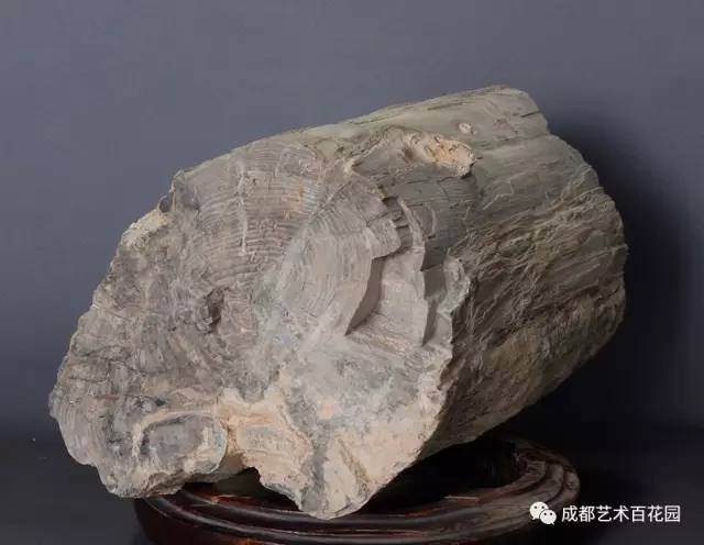 盆景常用石种有哪些