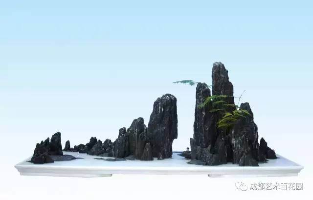 盆景常用石种有哪些