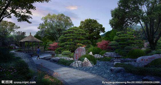 防城港成为广西罗汉松产业化重点生产园区