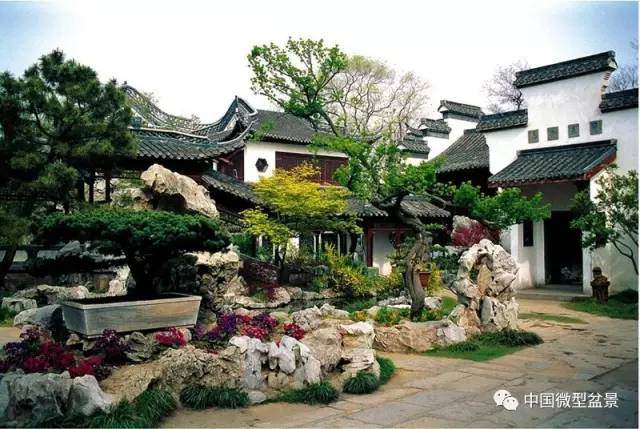 玩盆景必看~心驰神往之地