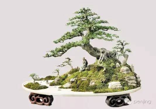 附石式盆景反映了树木生长在石上的自然风貌