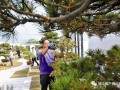生祠东进建成1500平方米的盆景展示基地
