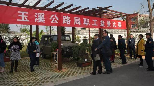 玉溪公路局举办职工盆景制作比赛及盆景知识讲座