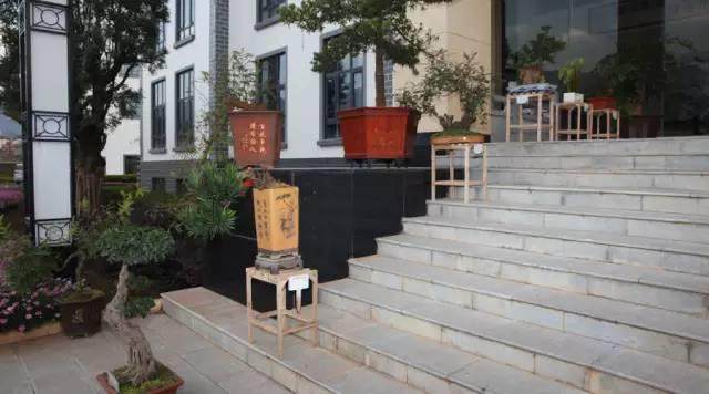 玉溪公路局举办职工盆景制作比赛及盆景知识讲座