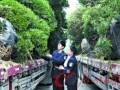 湛江查获无合法证明的进口罗汉松17棵 案值约100多万元