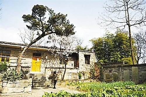 重庆云阳栖霞宫谜团:汉城山顶罗汉松是谁所栽