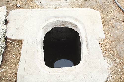 重庆云阳栖霞宫谜团汉城山顶罗汉松是谁所栽