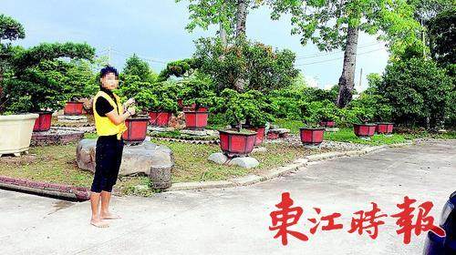 嫌疑人指认现场。 《东江时报》记者蔡伟健 通讯员张志新 摄