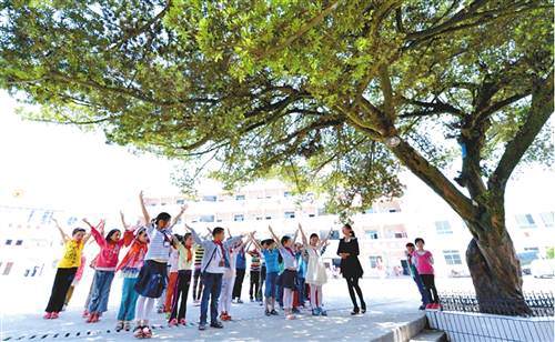 《重庆日报农村版》：看四百年罗汉松 游忠县万亩桑葚园