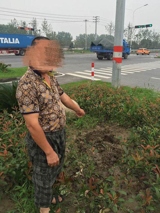 价值1.6万罗汉松连遭2次贼手 警方估价仅4千元