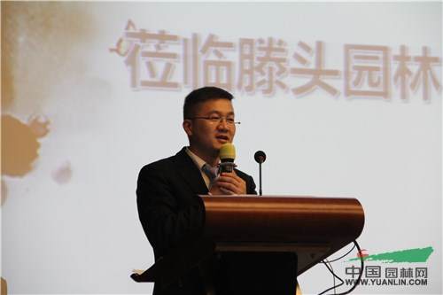 IMG_4556.jpg 2016滕头园林罗汉松交流会在龙岩成功举办