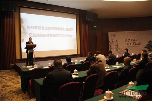 IMG_4560.jpg 2016滕头园林罗汉松交流会在龙岩成功举办